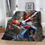 Плед 3D Паутинные приключения 12267 160х200 см