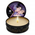 Масажна свічка з афродизіаками Shunga Mini Massage Candle (30 мл), Екзотичні фрукти