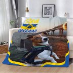 Плед патриотический 3D Сожженный Мост 29707 180х215 см