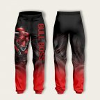Брюки спортивные с 3D принтом BULL BOSS 30939 2XL