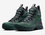 Кросівки NIKE ACG ZOOM GAIADOME GORE-TEX DD2858-300