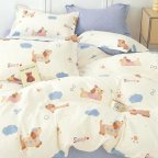 Постельное белье детское Viluta Сатин Twill 19 762-D 105х145 см