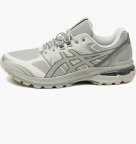 Кросівки ASICS Gel-Terrain Seal Grey 1203A342-020